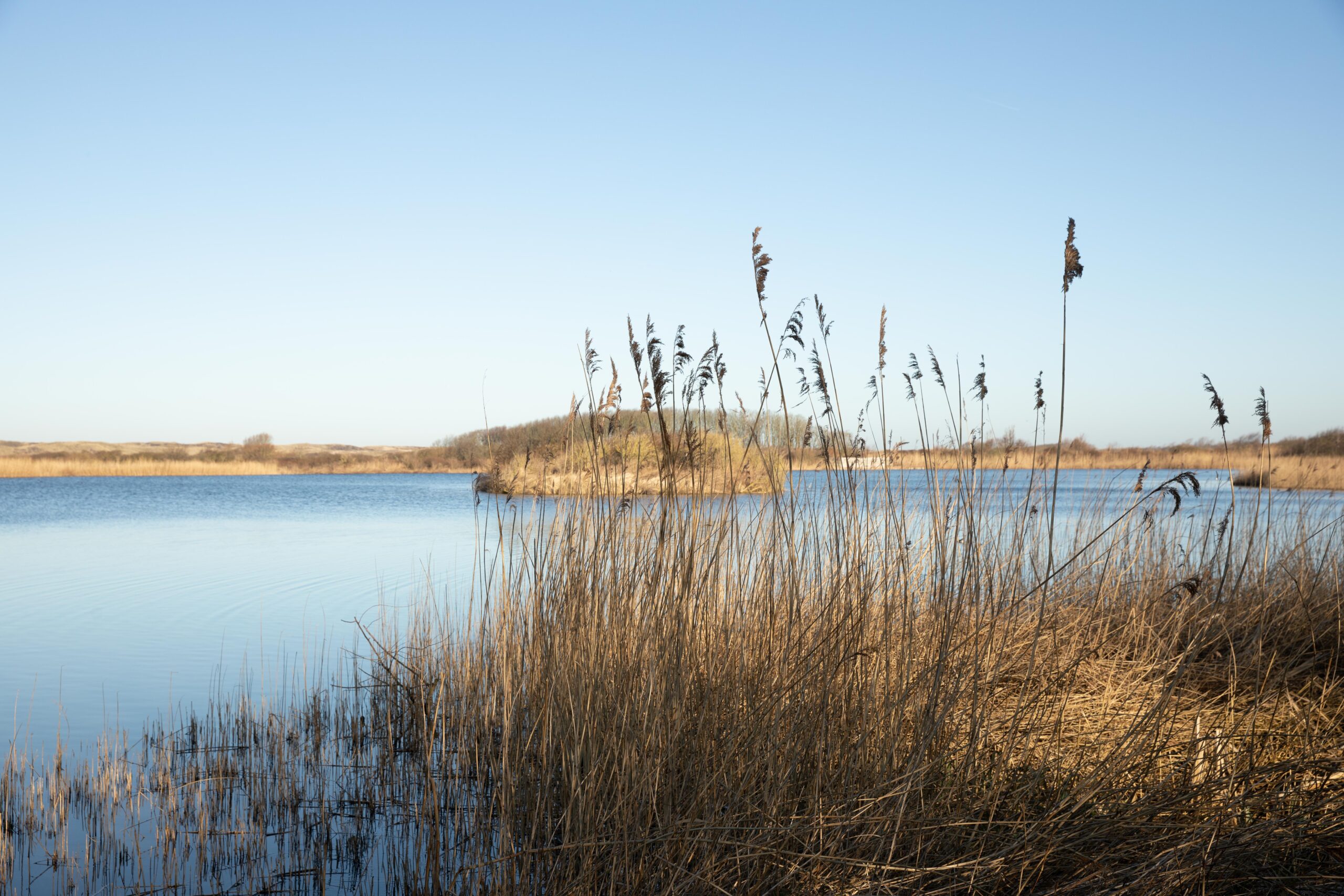 8 vragen over fijn vakantie vieren!